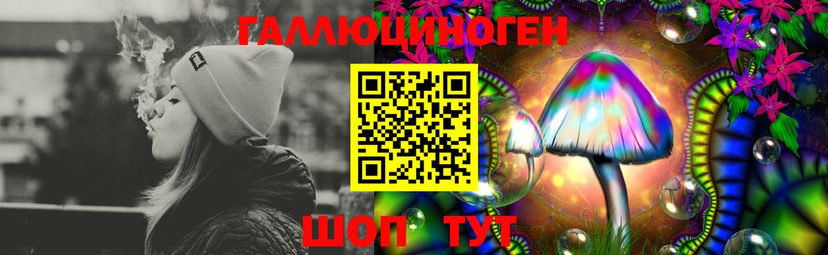 Котовск  Галлюциногенные грибы GOLDEN TEACHER  Вход с VPN 